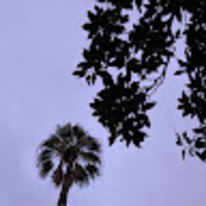 Meet your Posher, Mariona